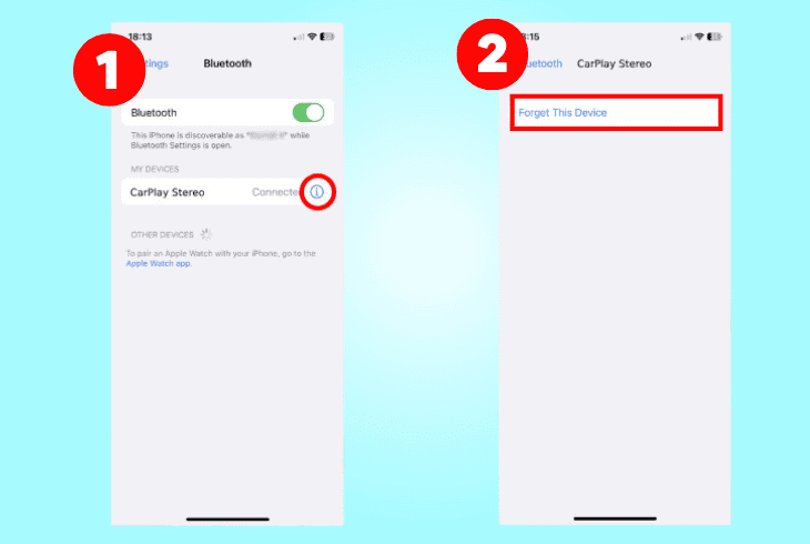 forget & re-add the carplay stereo