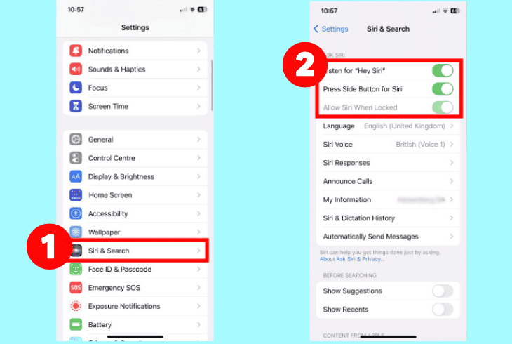 verify that “siri” is enabled