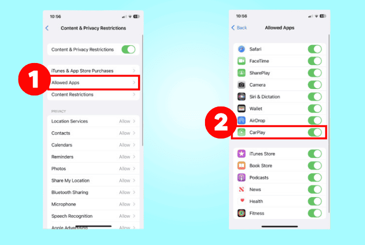 reset the carplay’s privacy restrictions