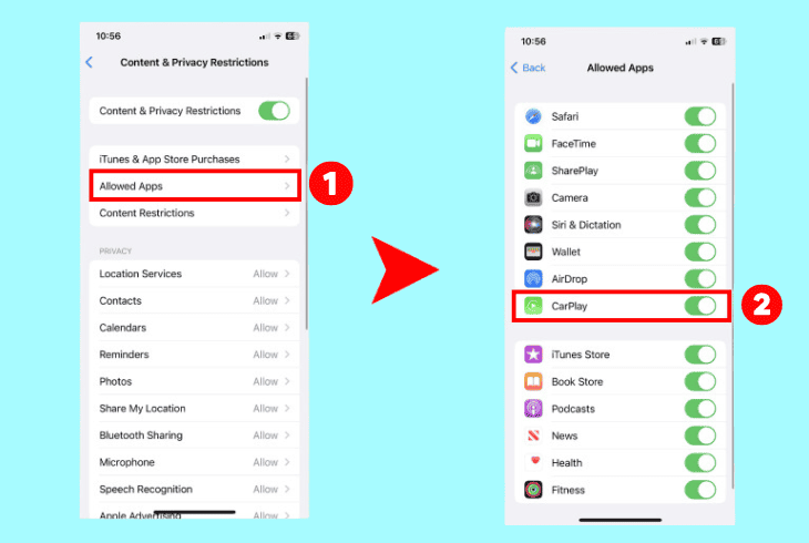 allow the iphone’s “carplay” function
