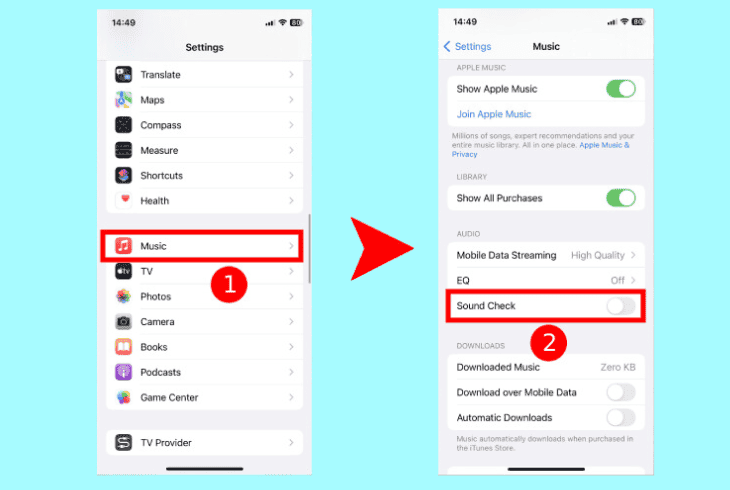 disable the iphone sound check