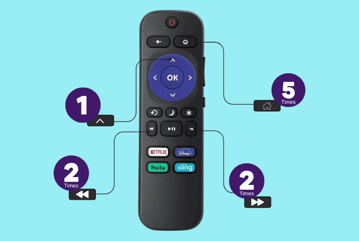 conduct a remote control reset