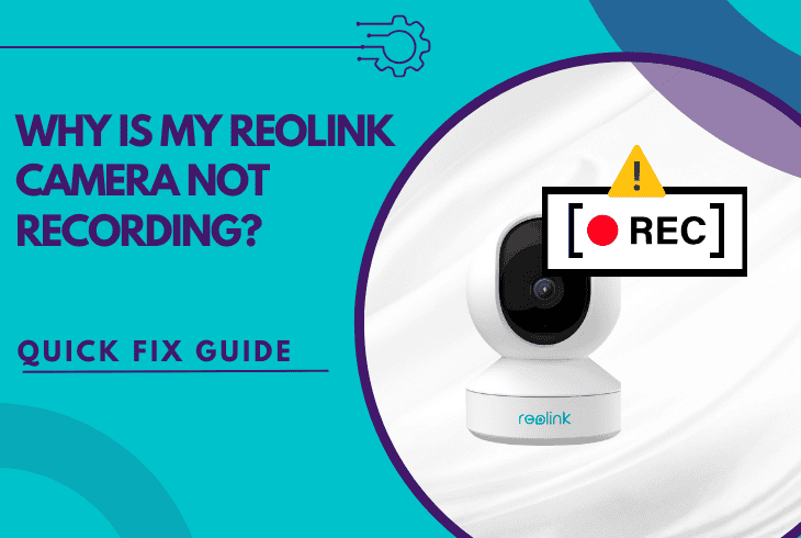 reolink camera not recording
