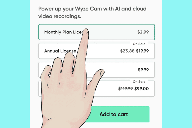 cam plus ai detection