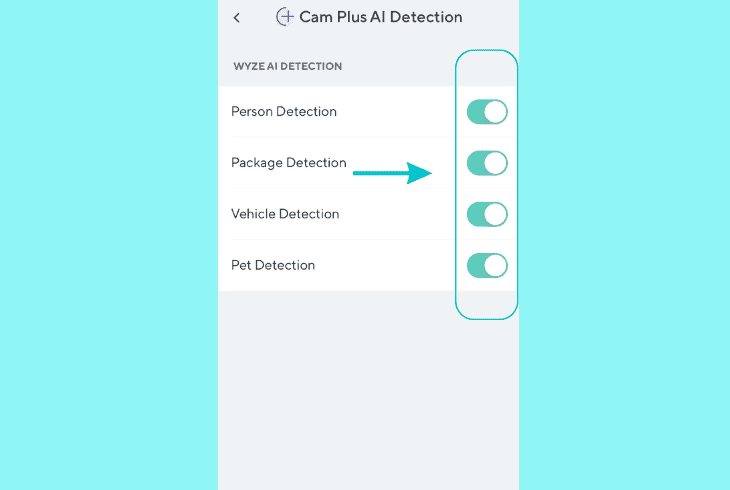 cam plus ai detection: