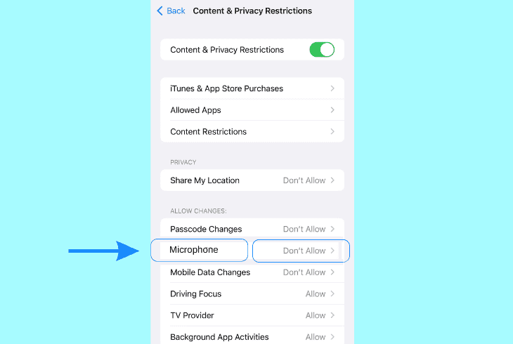configure the ios microphone permissions