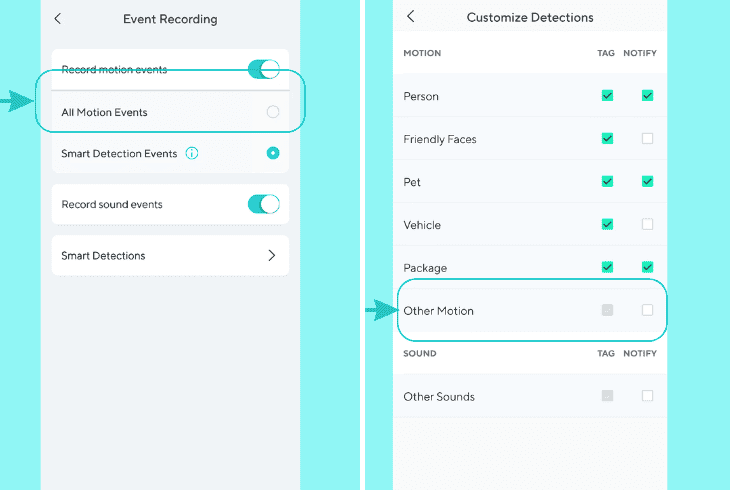 configure the motion recording settings
