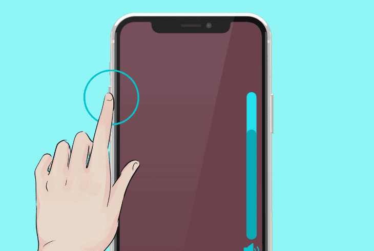 check the phone mute status