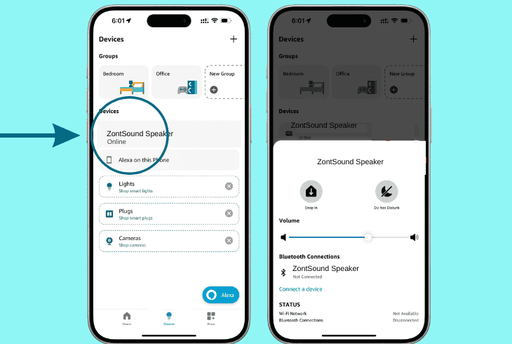 verify the alexa speaker is online