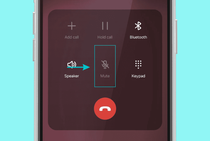 check your phone mute & volume status