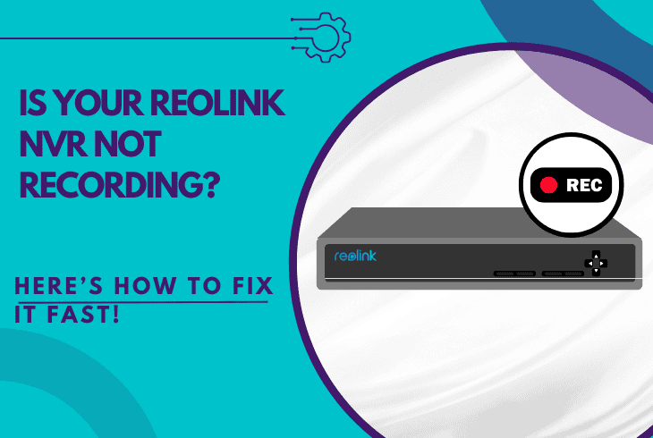 reolink nvr not recording