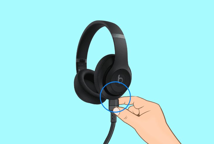 check the connections: