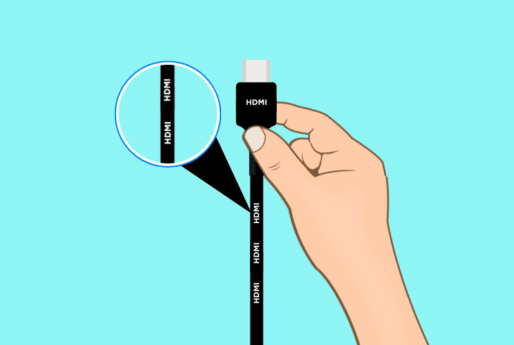 inspect the monitor video cable