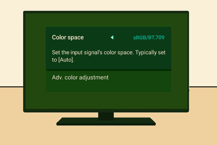 video signal