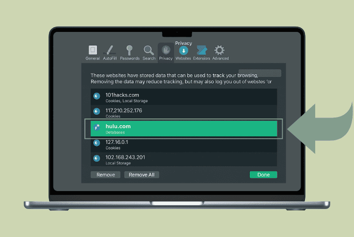 safari (mac)